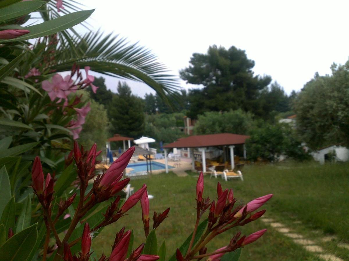 Villa Askamnia And Suites Nikiti  Esterno foto